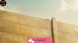 الزوميى يجتاحون العالم كله عدا مدينةالقدس المحصنة ملخص فيلم world war z