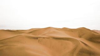 "Desert Symphony: A Visual Exploration of Arid Landscapes"