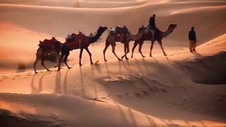 "Desert Solitude: A Visual Expedition Through Arid Landscapes"
