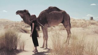 "Desert Odyssey: Exploring the Mysteries of Arid Landscapes"