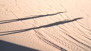 "Desert Discovery: Unveiling the Secrets of Arid Landscapes"