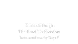 Chris de burg : the road to freedom