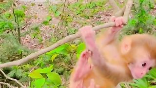 playing alone is cute