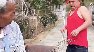 New Comedy Videos
