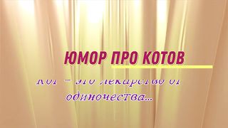 Юмор про котов_ кот - это лекарство от одиночества.