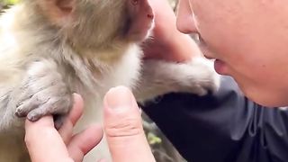 The friendly interaction between Little Monkey Bao and Mr. Kuang turns the monkey into a spirit. Pl
