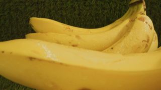 Pair of plantain stalks in a close up shot