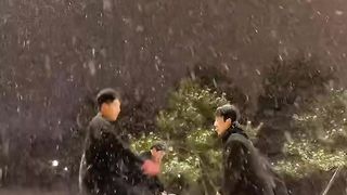 Snow ????️????️????️????️
