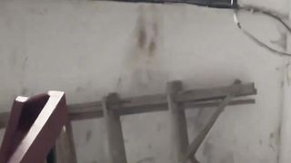 That's some fat cat