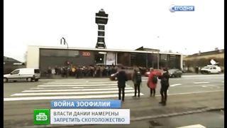Ведущего разобрало в прямом эфире после сюжета про зоофилов