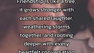 Funny Quotes No.49