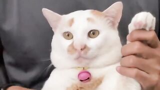 Om Boy ????