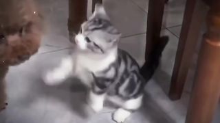 ????????