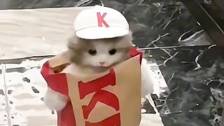 ????????????????