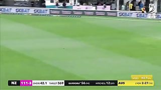 Australia vs New Zealand day 4 highlights