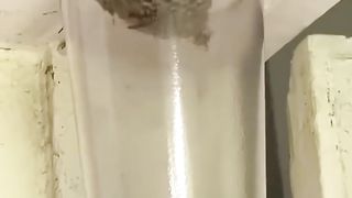 Beekeeper