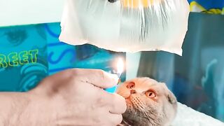 Что произойдет в конце #shorts #чтобылодальше