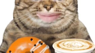 Толстый котик поет песенку #shorts #котята #смешныевидео