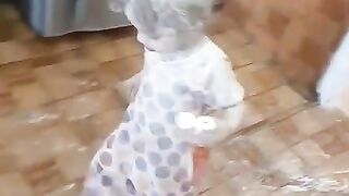 يا حرام