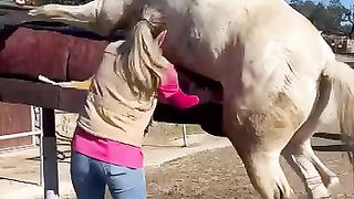 ???? horse