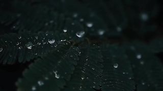 حروف تغمرك بالسعادة: استمع إلى القرآن الكريم