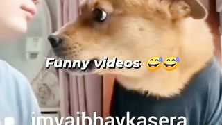Dog mimicry
