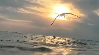 احلى مساء على المتابعين