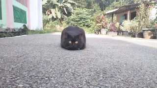 Buna.