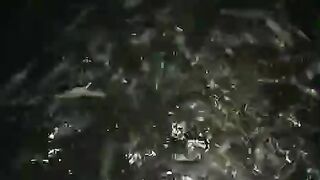 Usaha apapun kalau KONSISTEN pasti menghasilkan, yang merugikan itu udah mah rugi, ditinggalkan