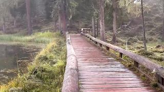 Feel this calmness… ---#viral #outplanet #stayandwander #dolomites #wandern #forest #reels #voyage #earthfocus