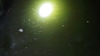 Pergantian air kolam malam hari BISA atau TIDAK❓Jawabannya SANGAT BISA