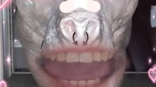 Странная корова поёт песенку #смешныевидео #shorts #comeon!