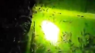 Fungsi daun pisang dikolam larva lele untuk alas pakan, selebihnya tempat main larva lele