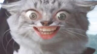 Смешной котенок поет песенку #comeon