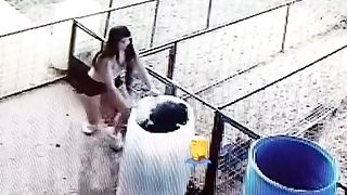 A pig nearly drown itself