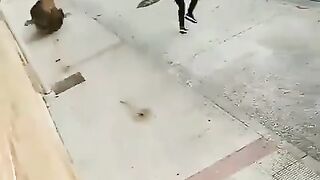 lucky man
