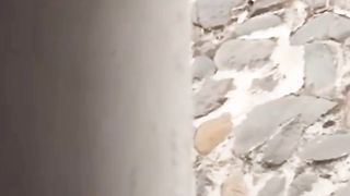 Preman terkuat di bumi