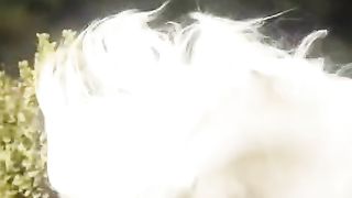 قصص النجاح والتطوير الشخصي