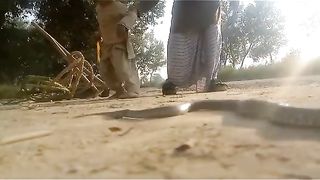Snake dance on music