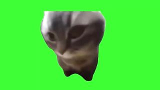 green screen