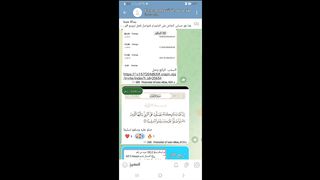 قناتنا على التلجرام