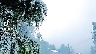 Snowfall in Kashmir Beautiful view #beautyof Kashmir #kashmirview #kashmirvalley #viral #short #shortvedios #ytshorts #viral