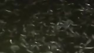 Katanya kalau kita budidaya ikan lele, malam hari suka ada makhluk astral kekolam ???? BENAR atau TIDAK❓