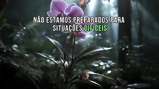 Dificuldade nos faz crescer