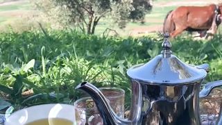 منظر جميل