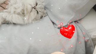 Watch my lovely cat in the morning ????????????????