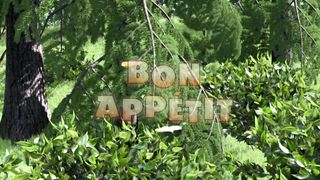 Masha and The Bear - Bon appétit!
