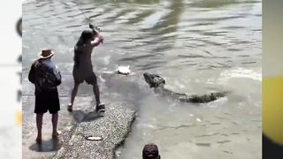 Brave man fights crocodile