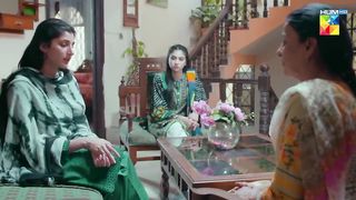 Susral Walay Har Waqt Paisay Mangte Hein..! #samikhan #maheensiddiqui - Dooriyan - HUM TV.