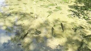 Turismo em Bonito Mato Grosso do Sul  esse é o segredo